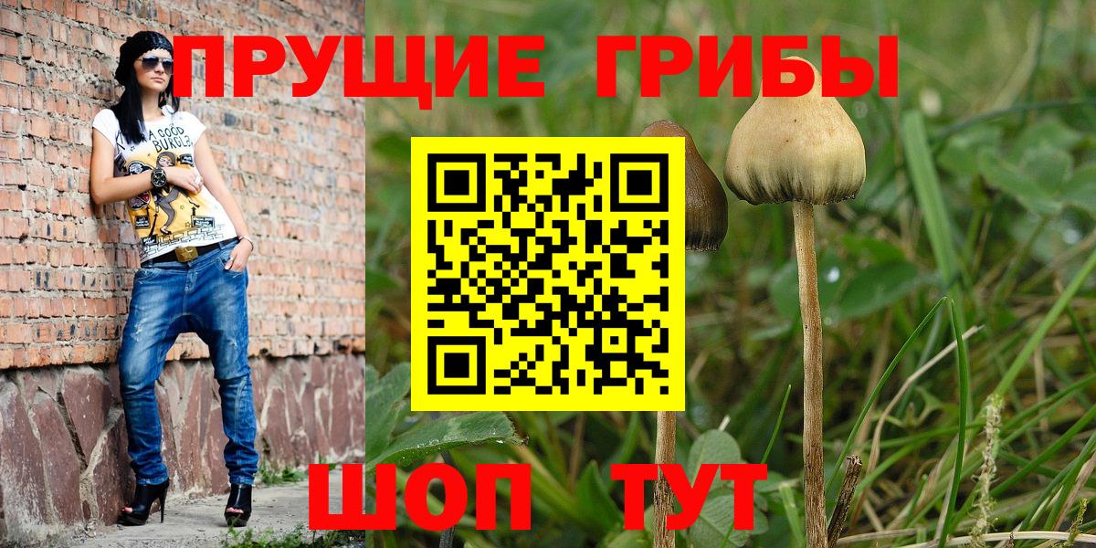 Псилоцибиновые грибы ЛСД  Галлюциногенные грибы мицелий  Вход с VPN  Новочебоксарск 