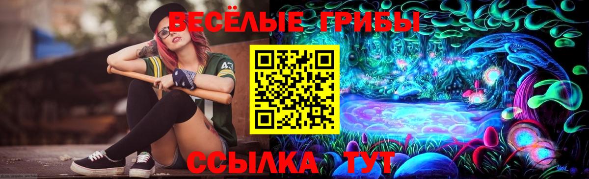 Галлюциногенные грибы Psilocybe Новочебоксарск